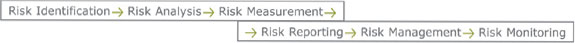 risk management process